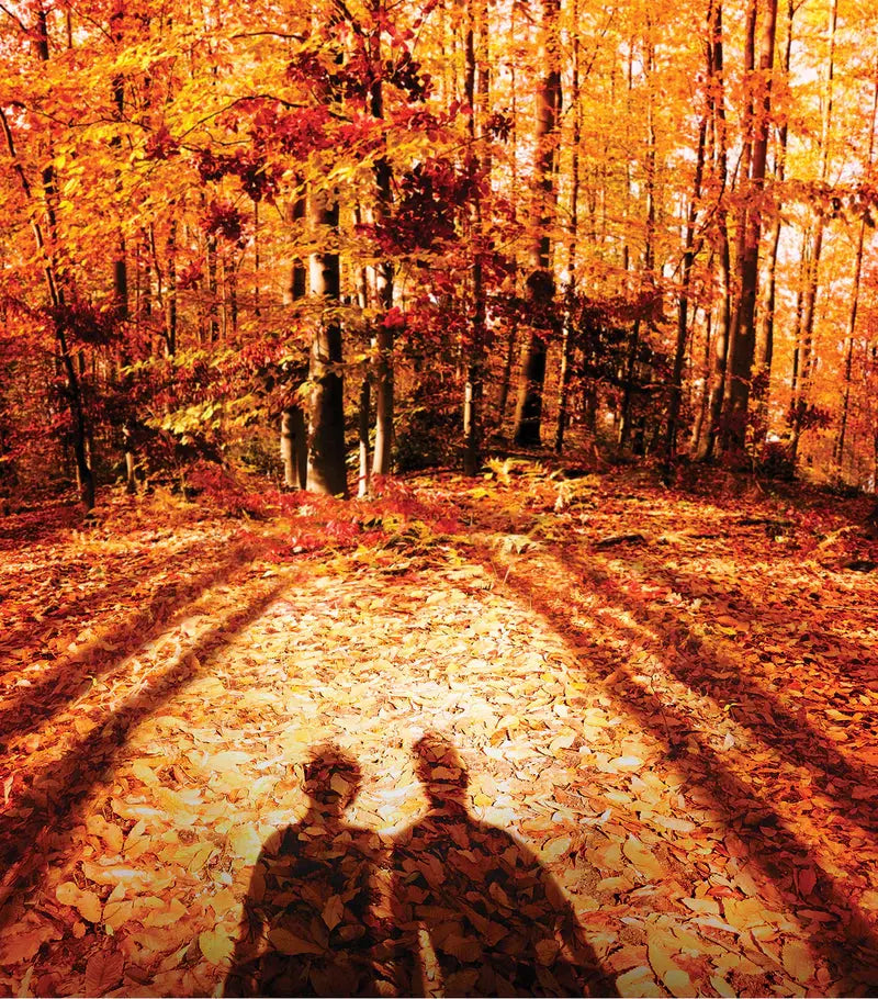 Replica Autumn Vibes Eau de Toilette Maison Margiela